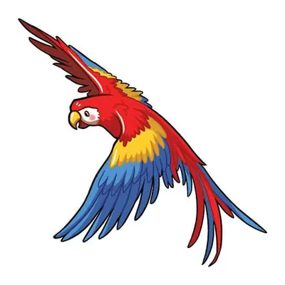Arara vermelha