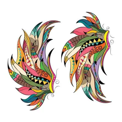 Asas boho coloridas