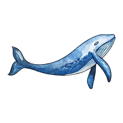 Baleia azul em aquarela