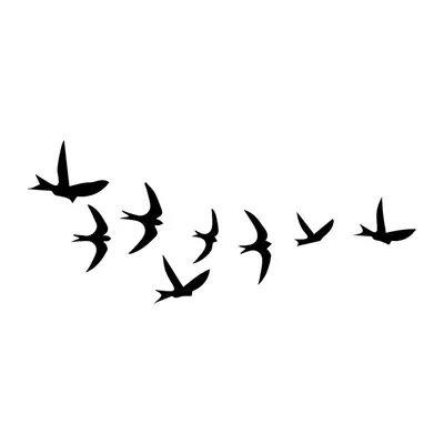 Bando de aves pequenas