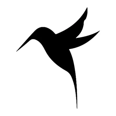 Beija-flor em silhueta