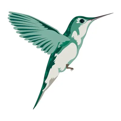 Beija-flor verde