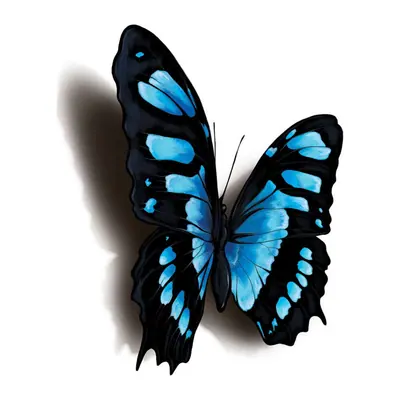 Borboleta azul 3D — Modelo 1
