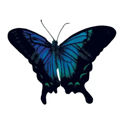 Borboleta azul escura