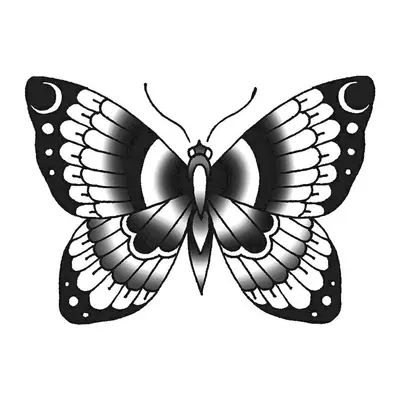 Borboleta com luas