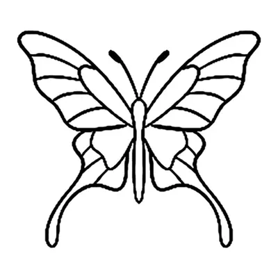 Borboleta em contorno
