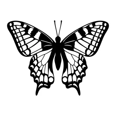 Borboleta rabo-de-andorinha