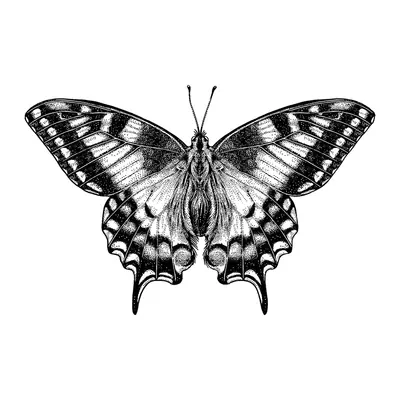 Borboleta realista