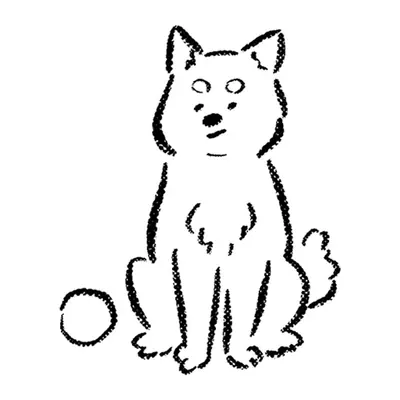 Cachorrinho sentado com bolinha