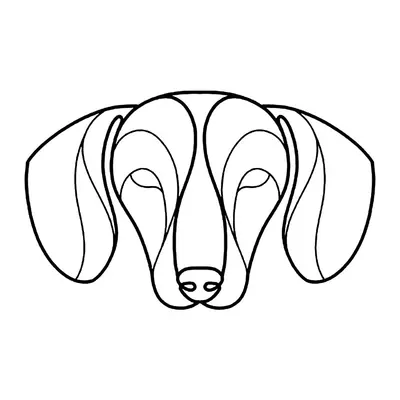 Cachorro salsicha