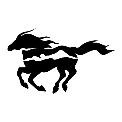 Cavalo galopando
