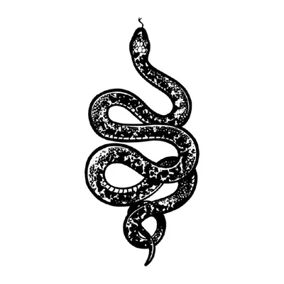 Cobra com brilhos