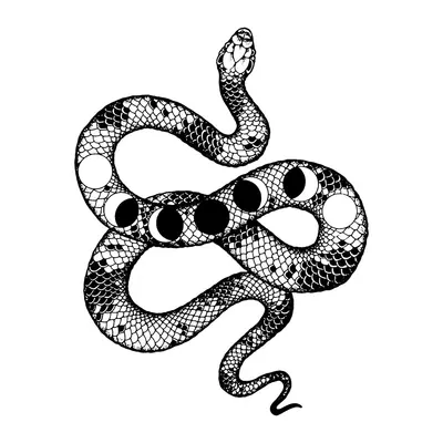 Cobra com fases da lua