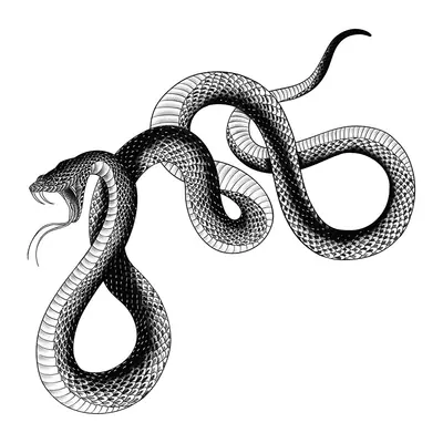 Cobra detalhada