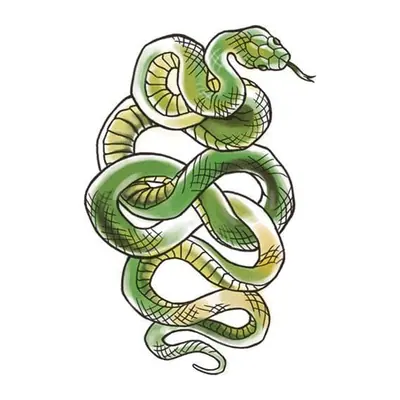 Cobra verde enrolada