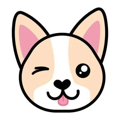 Corgi piscando