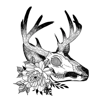 Crânio de cervo com flores