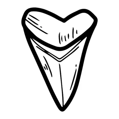 Dente de tubarão