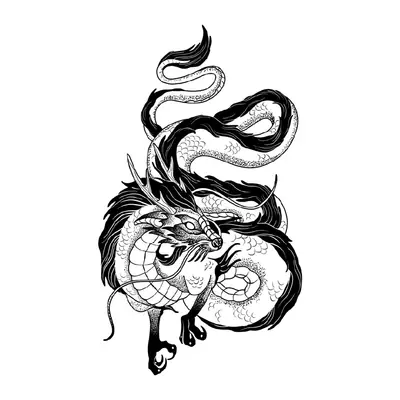 Dragão enrolado