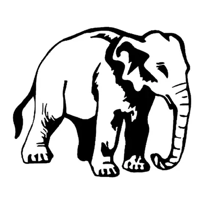 Elefante