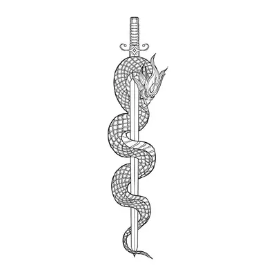 Espada com cobra — Modelo 1