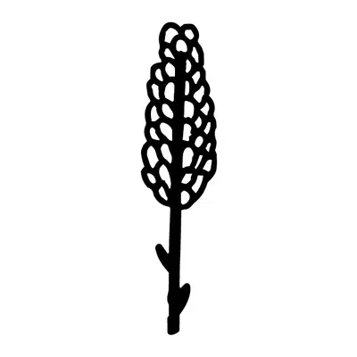 Espiga