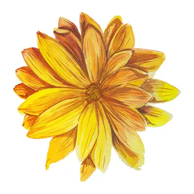 Flor amarela grande