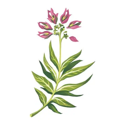 Flor rosa em haste