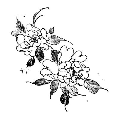 Flores de cerejeira em ramo