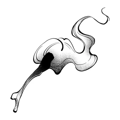 Fumaça de incenso