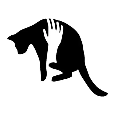 Gato com mão