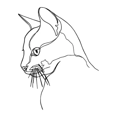 Gato em traço fino