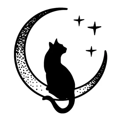 Gato na lua