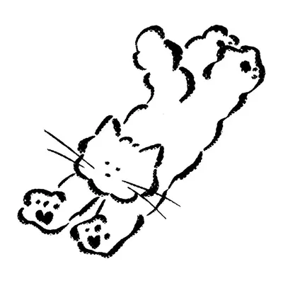 Gato preguiçoso