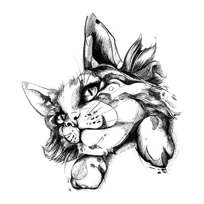 Gato realista