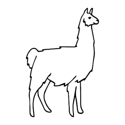 Lhama
