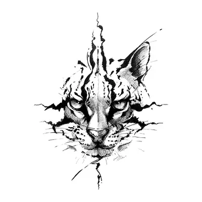 Lince detalhado