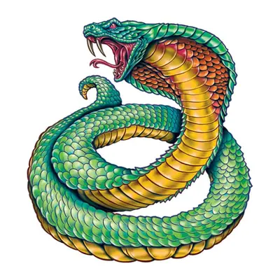 Naja verde enrolada