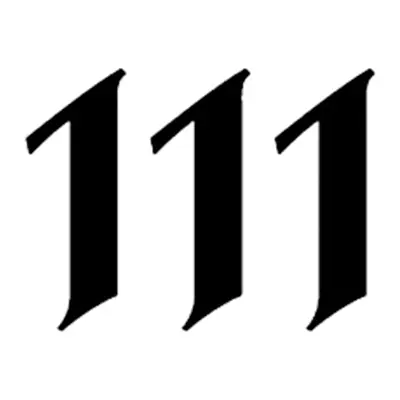 Número de anjo 111
