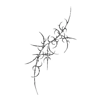 Ornamento de espinhos