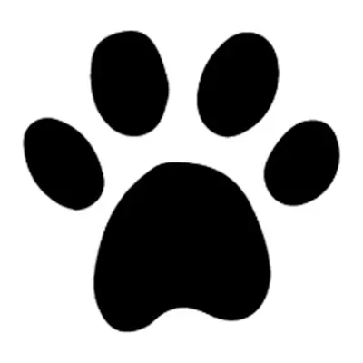 Pata de animal