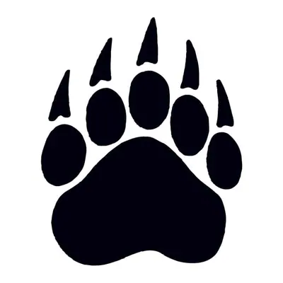 Pata de urso preta