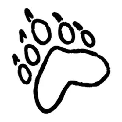 Pata de urso