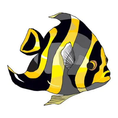 Peixe listrado amarelo e preto