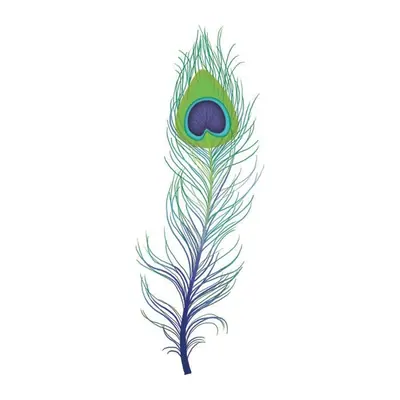 Pena de pavão — Modelo 2
