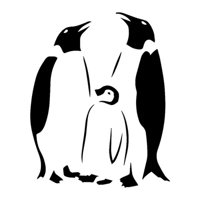Pinguins com filhote