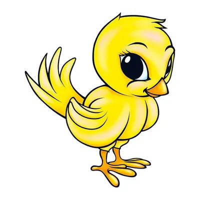 Pintinho amarelo