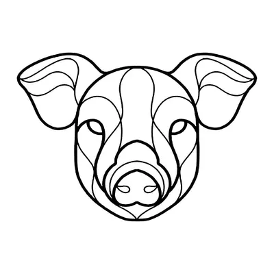Porco geométrico
