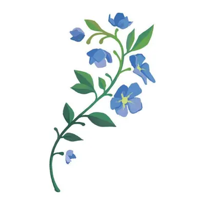 Ramo de flores azuis — Modelo 2