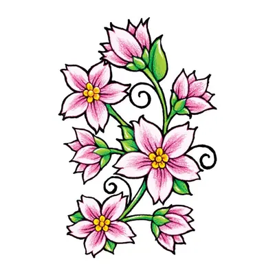 Ramo de flores de cerejeira rosa